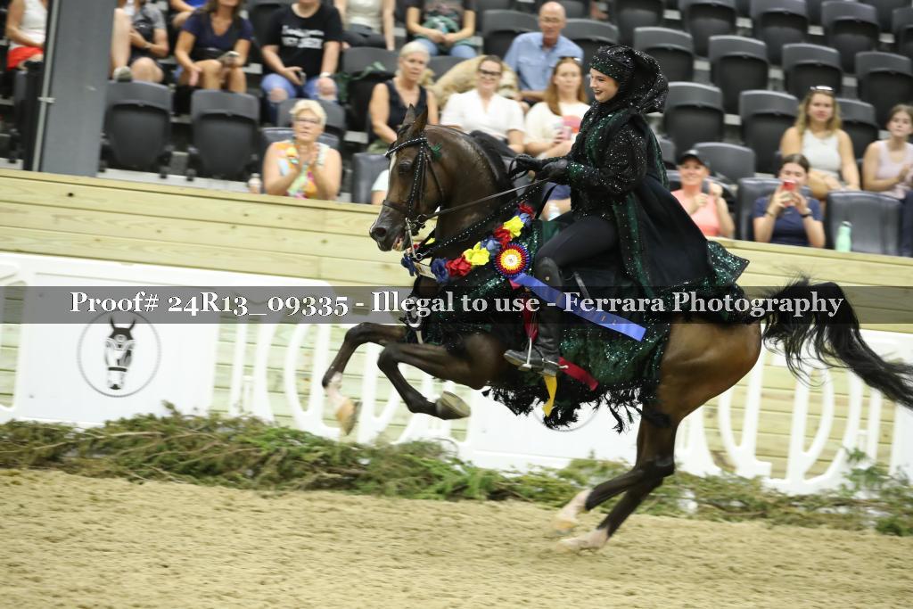 Proof 24R13_09335