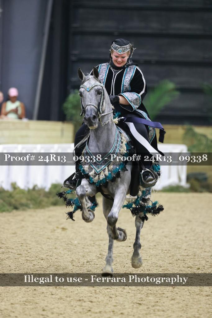 Proof 24R13_09338