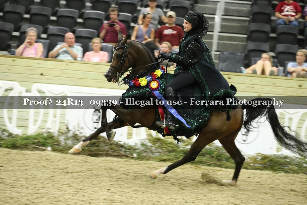 Proof 24R13_09339