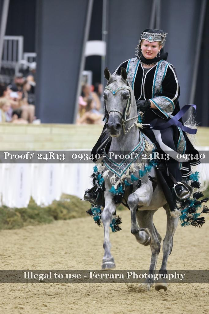 Proof 24R13_09340