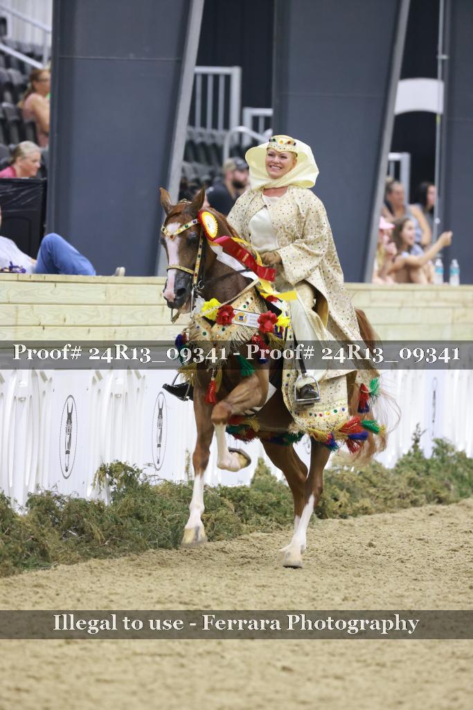 Proof 24R13_09341