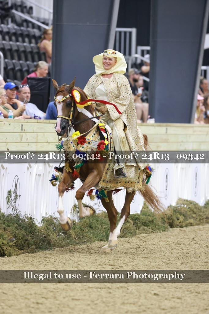 Proof 24R13_09342