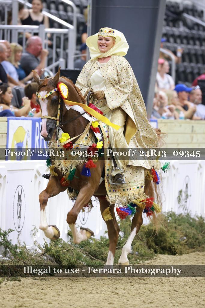Proof 24R13_09345