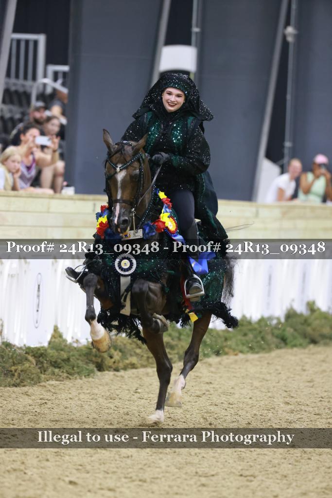 Proof 24R13_09348