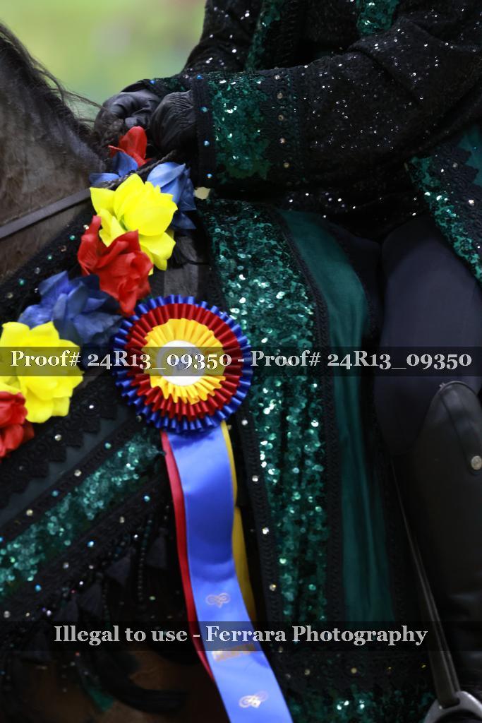 Proof 24R13_09350