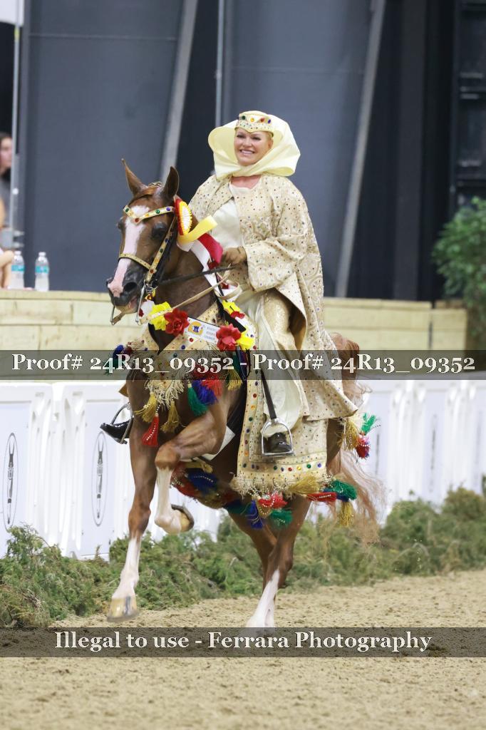 Proof 24R13_09352