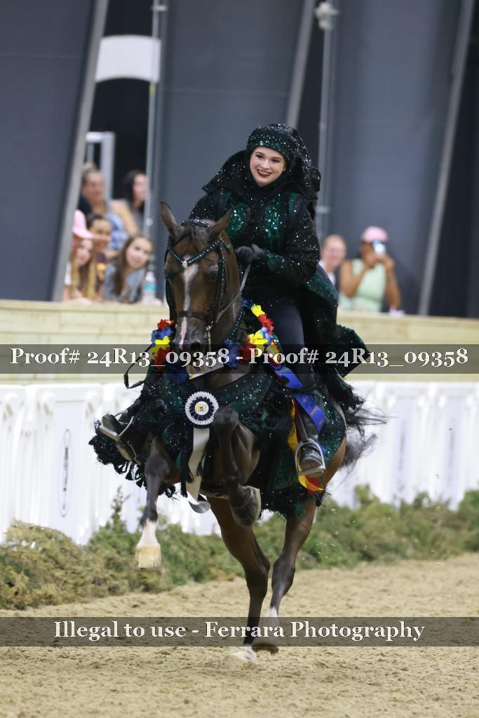 Proof 24R13_09358