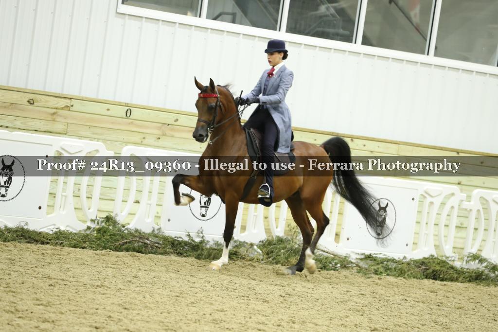 Proof 24R13_09360
