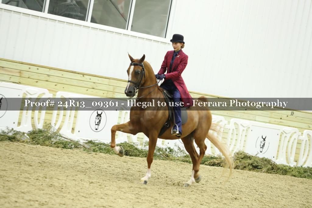 Proof 24R13_09361