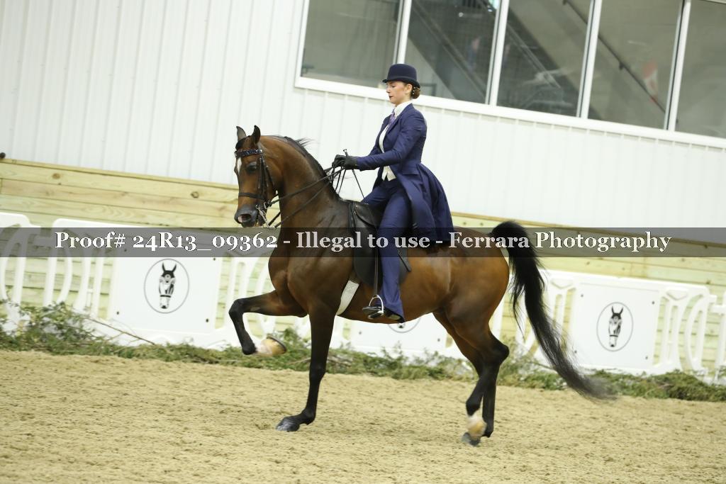 Proof 24R13_09362