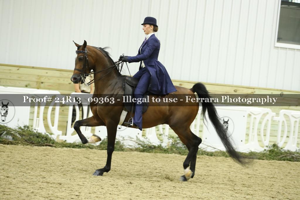 Proof 24R13_09363