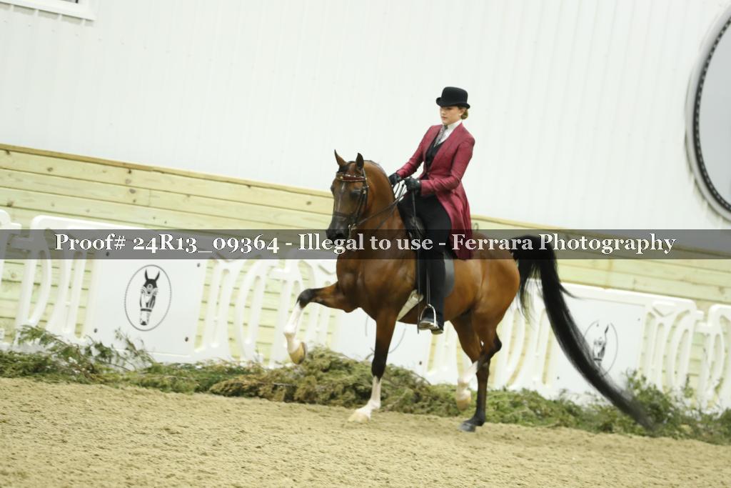 Proof 24R13_09364