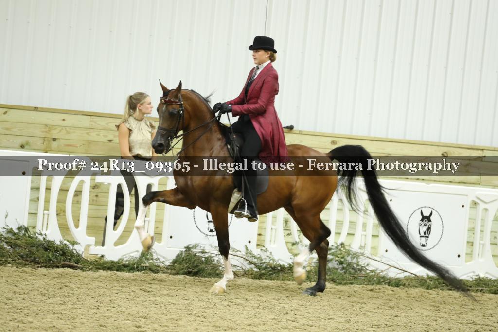 Proof 24R13_09365
