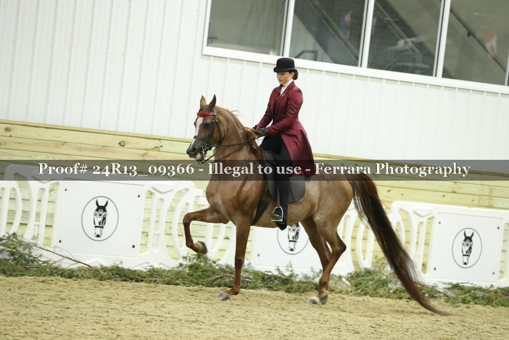 Proof 24R13_09366
