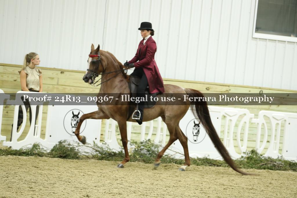 Proof 24R13_09367