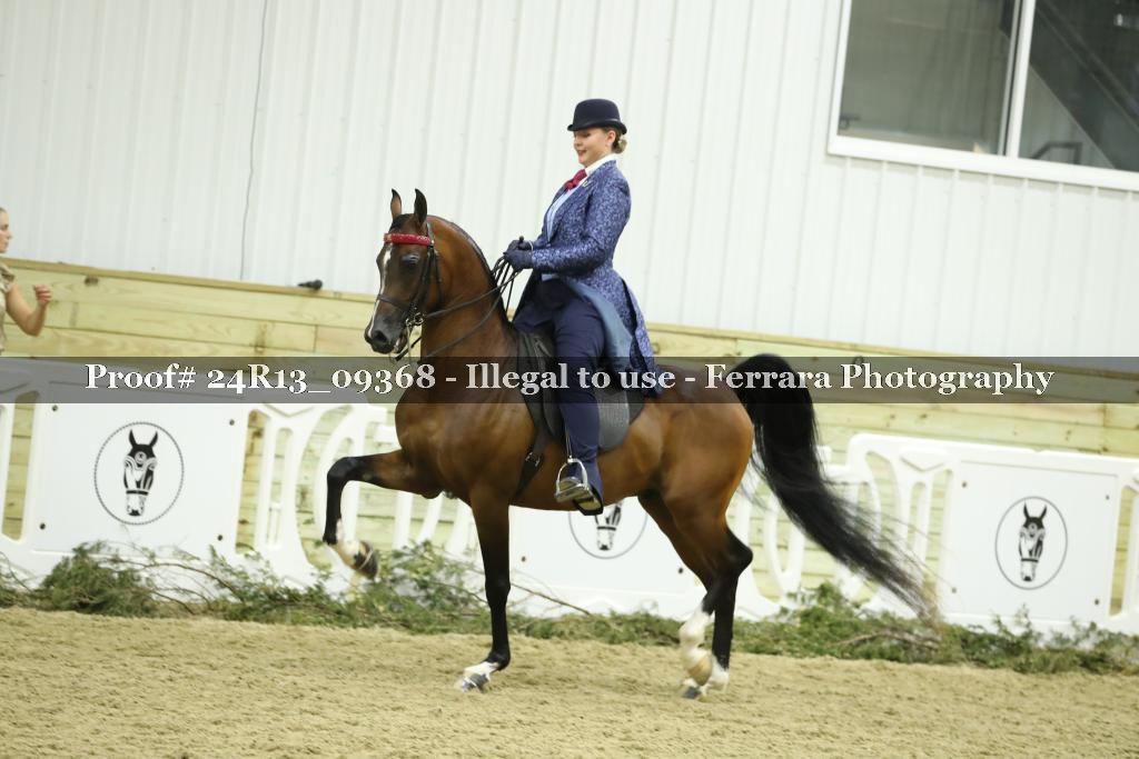 Proof 24R13_09368