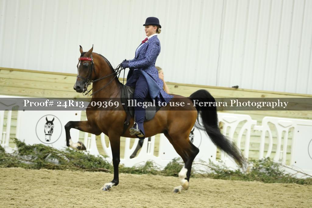 Proof 24R13_09369