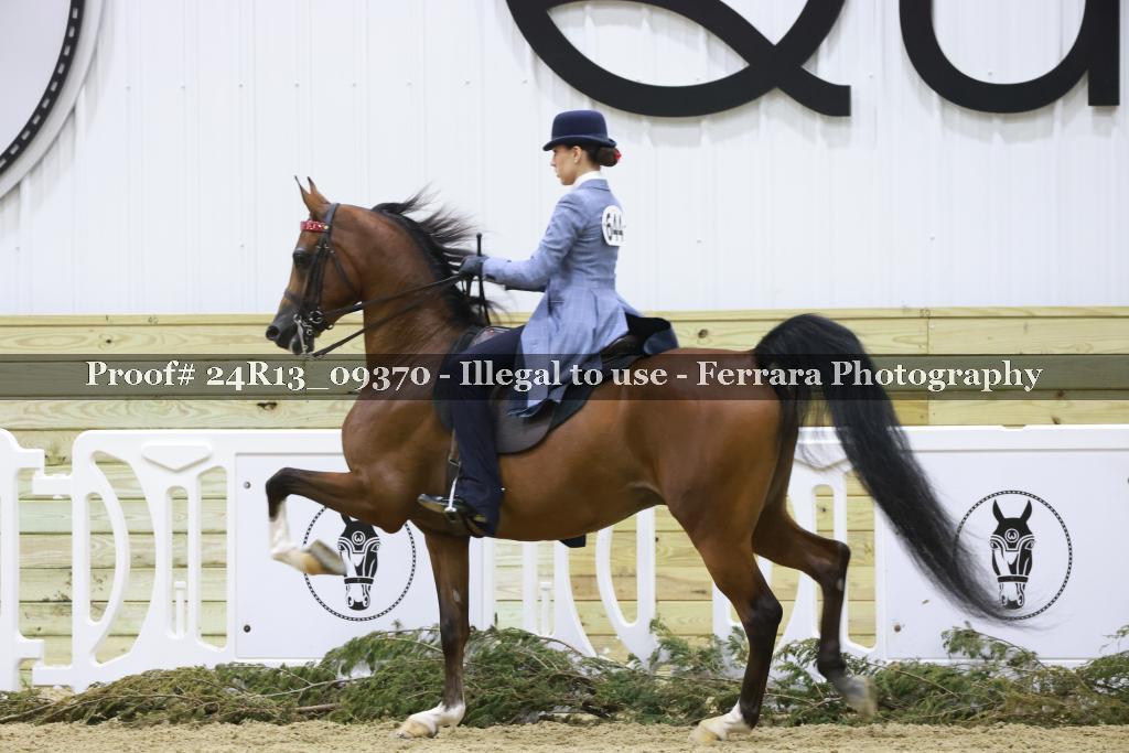 Proof 24R13_09370