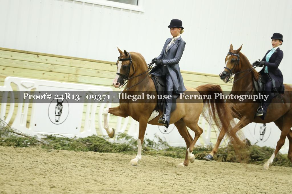 Proof 24R13_09371