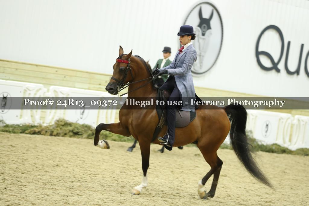 Proof 24R13_09372