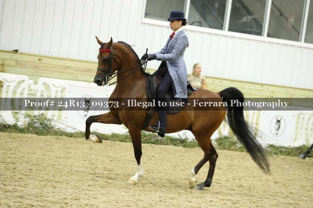 Proof 24R13_09373