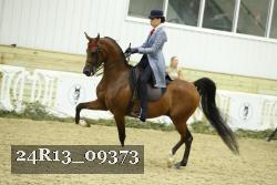 24R13_09373 proof