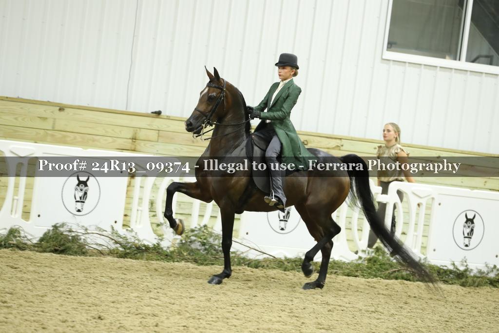 Proof 24R13_09374