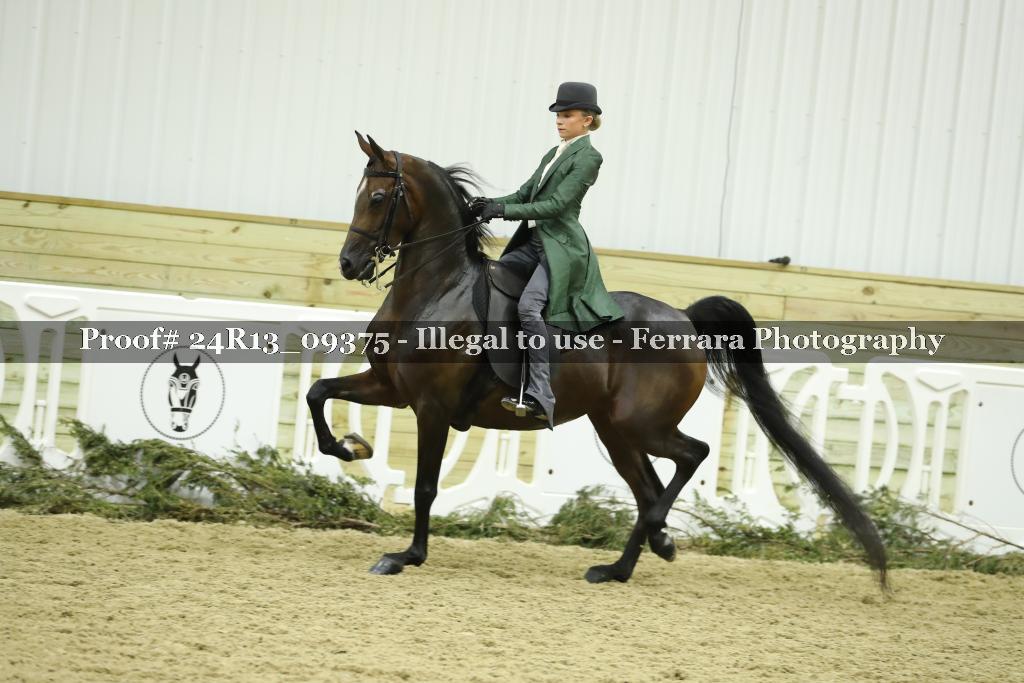 Proof 24R13_09375