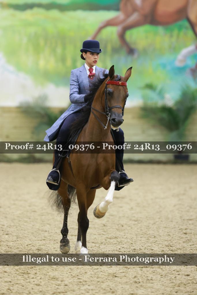 Proof 24R13_09376
