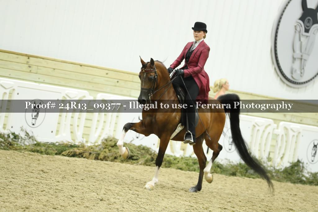 Proof 24R13_09377