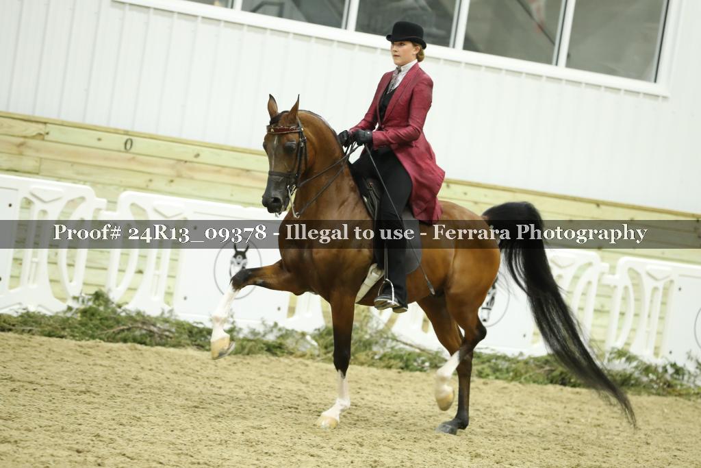 Proof 24R13_09378