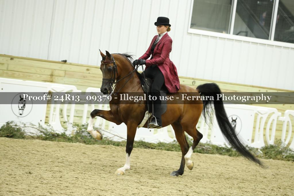 Proof 24R13_09379