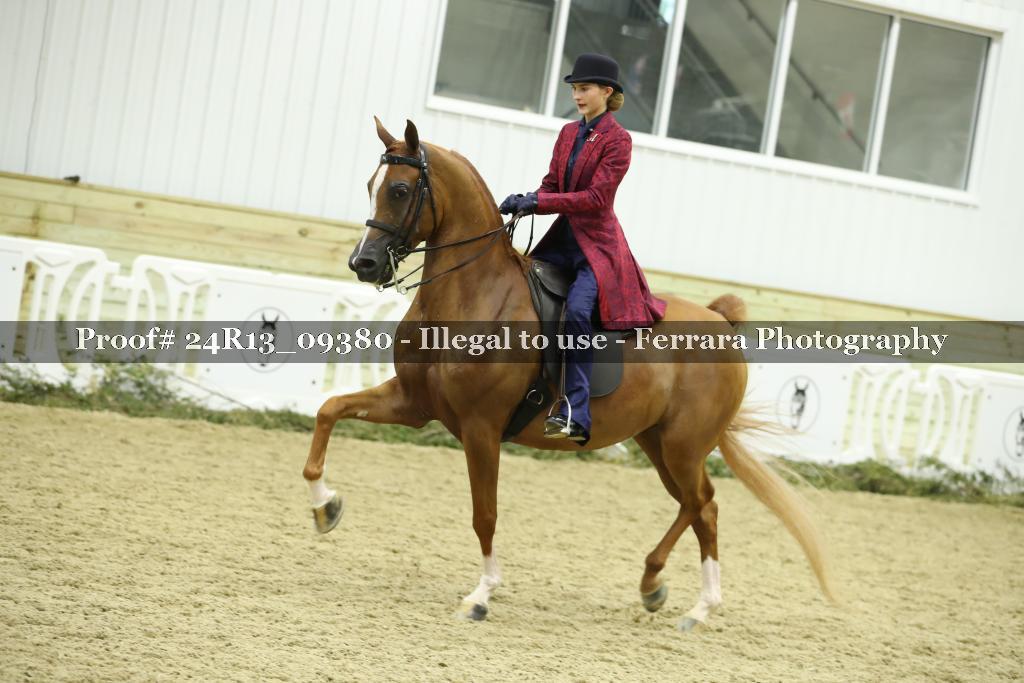 Proof 24R13_09380