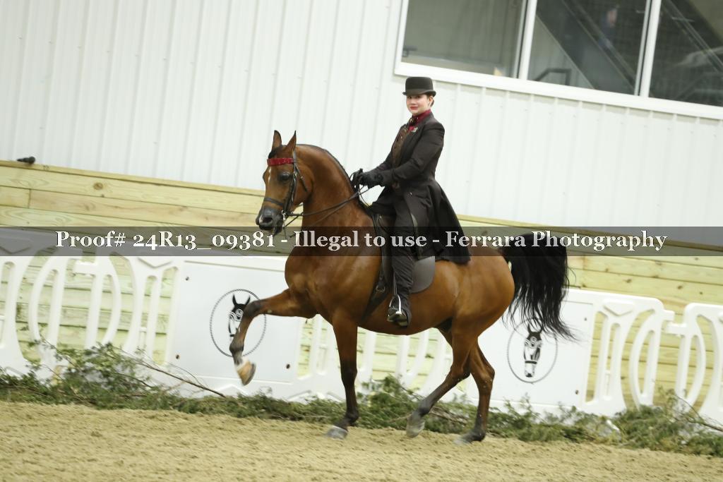 Proof 24R13_09381