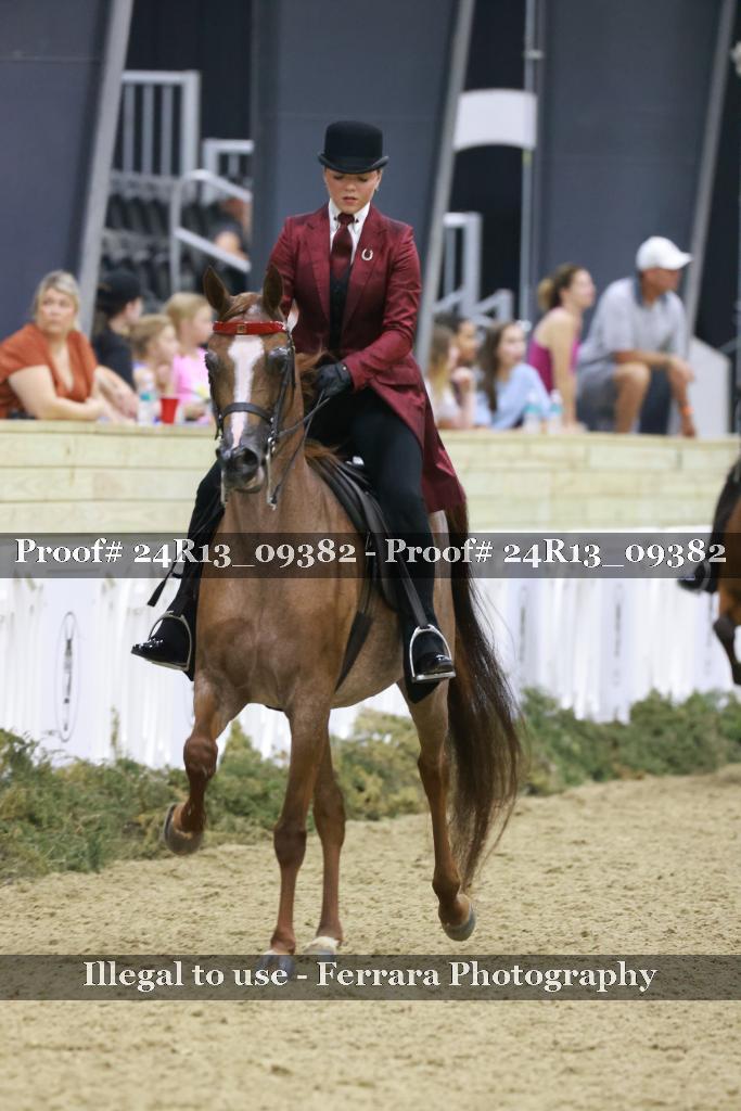 Proof 24R13_09382