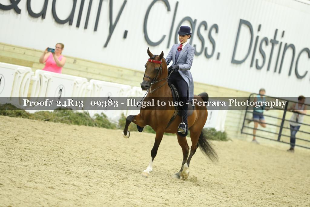 Proof 24R13_09383