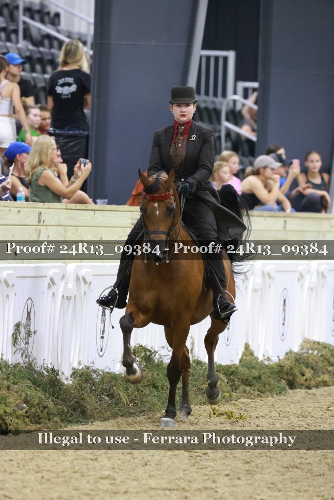 Proof 24R13_09384