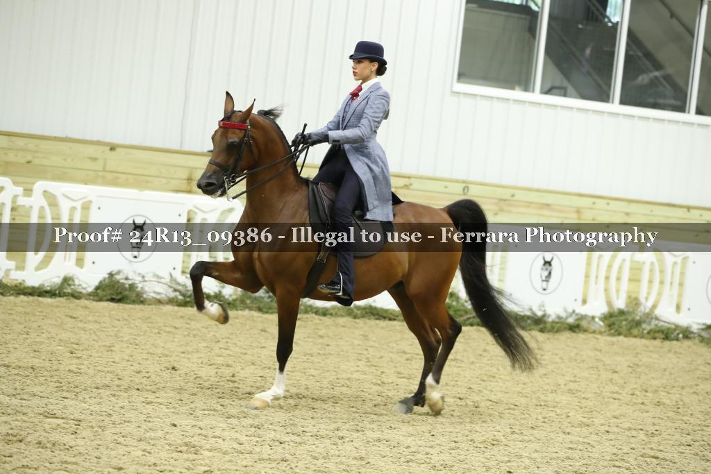 Proof 24R13_09386