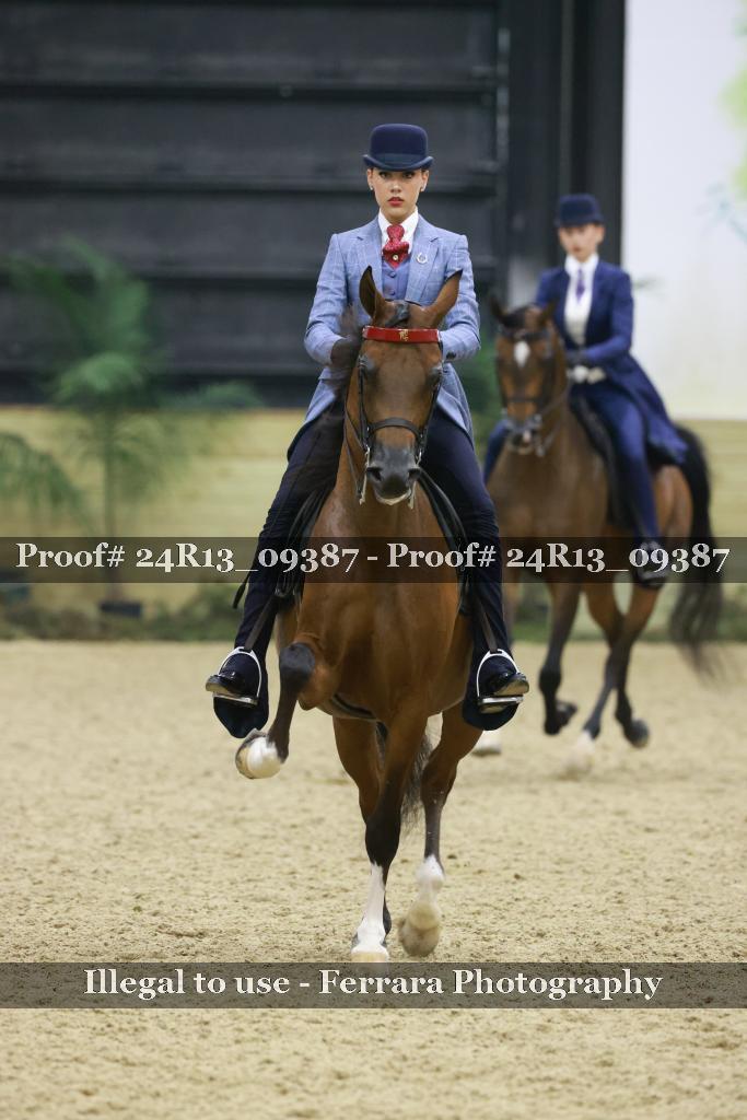 Proof 24R13_09387