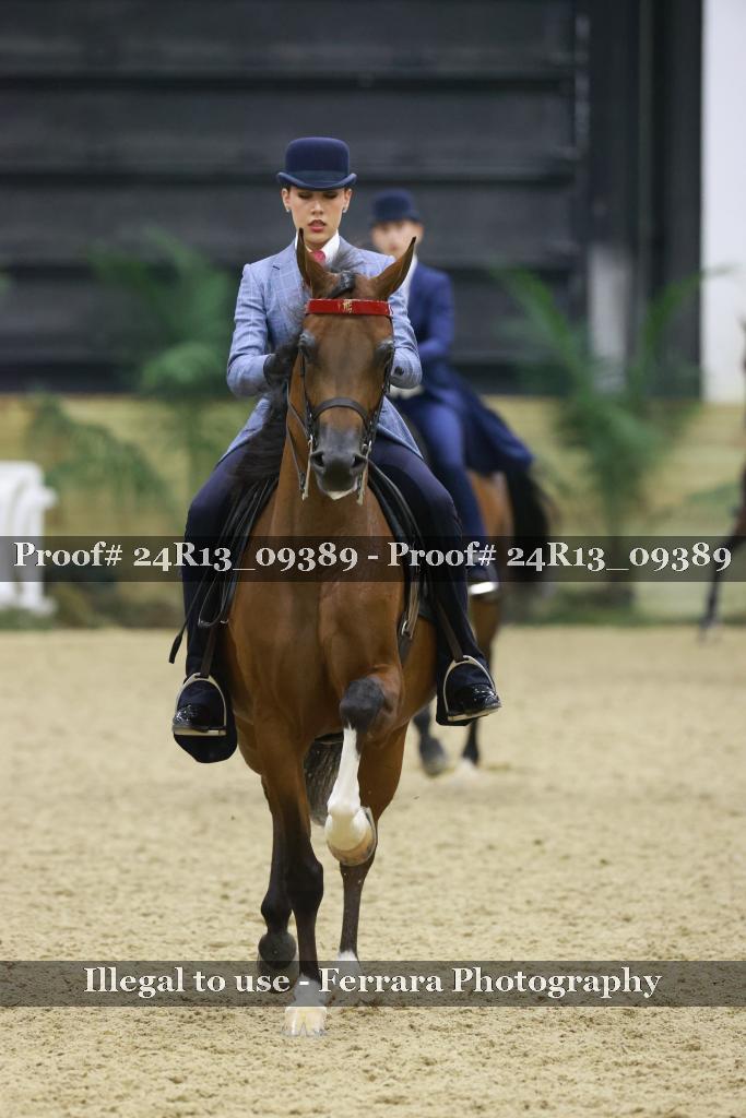 Proof 24R13_09389