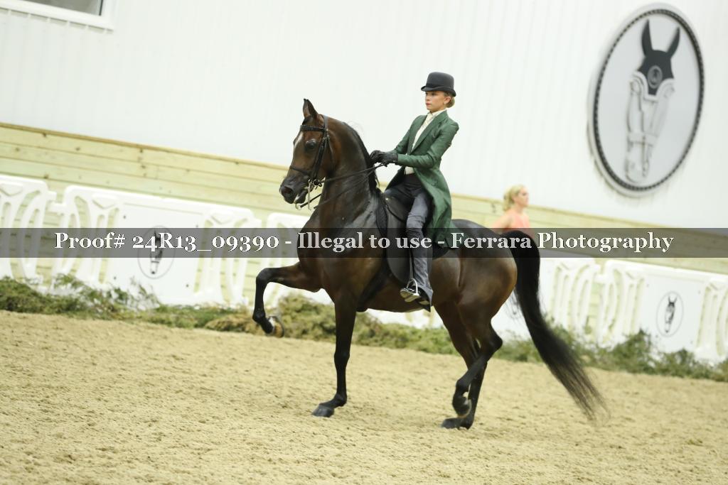 Proof 24R13_09390