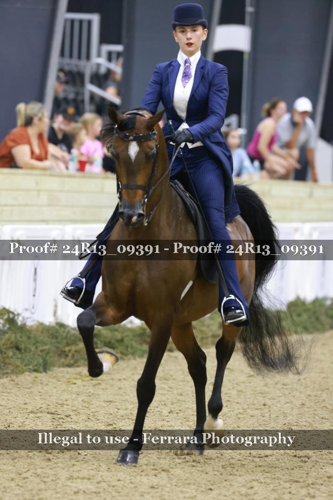 Proof 24R13_09391