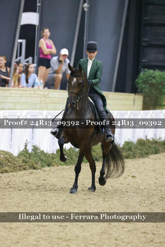 Proof 24R13_09392