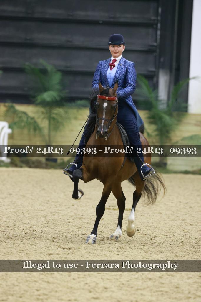 Proof 24R13_09393