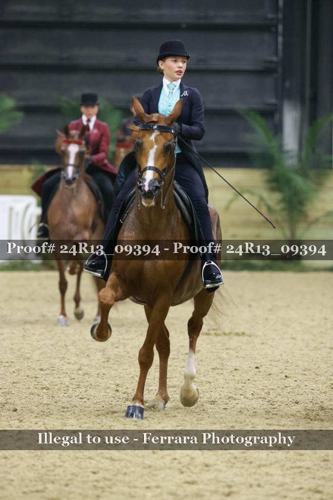 Proof 24R13_09394