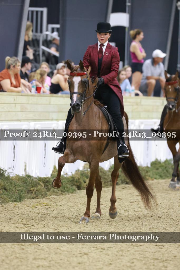 Proof 24R13_09395