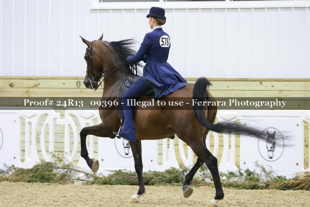 Proof 24R13_09396
