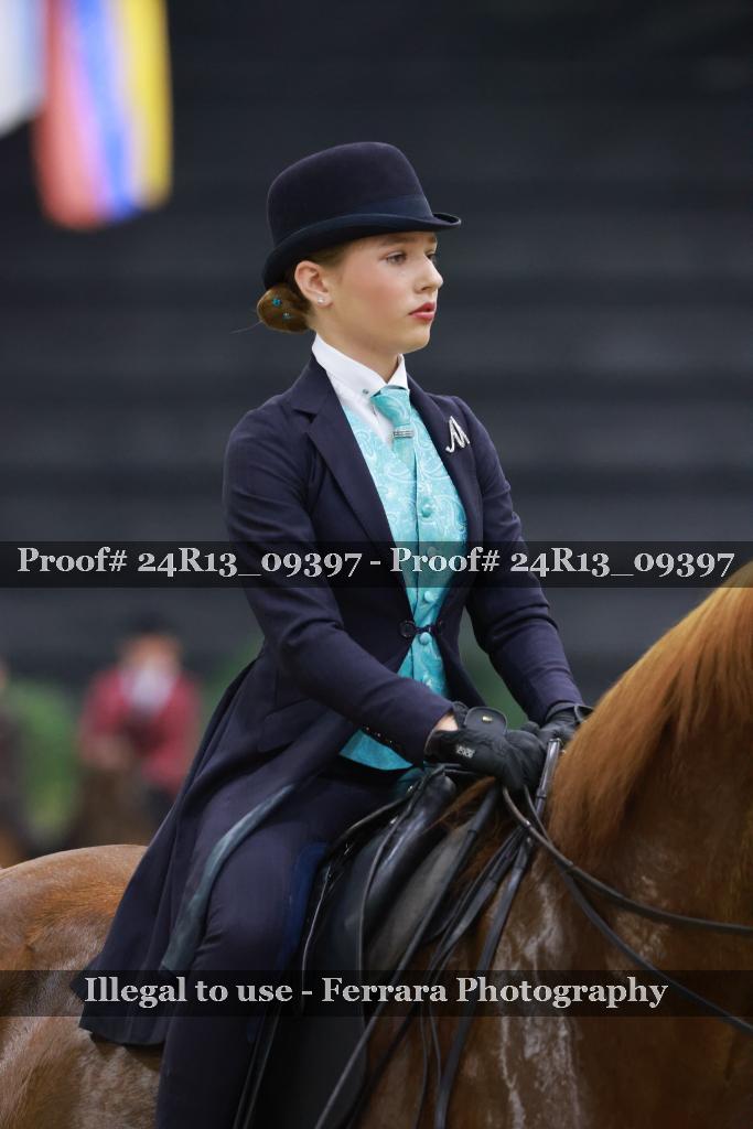Proof 24R13_09397