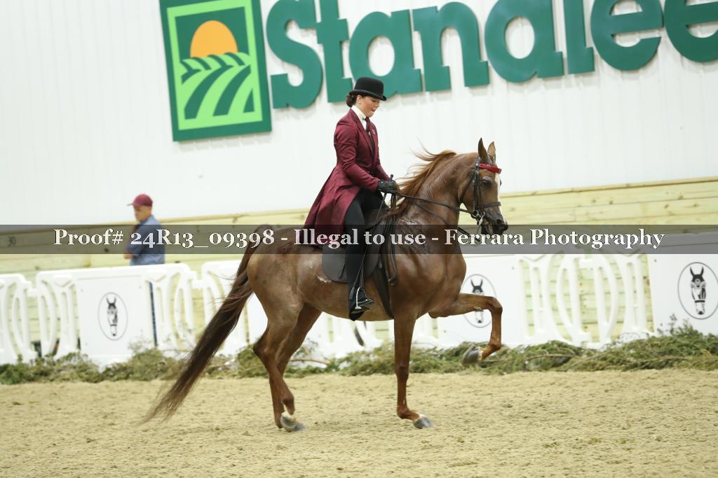 Proof 24R13_09398