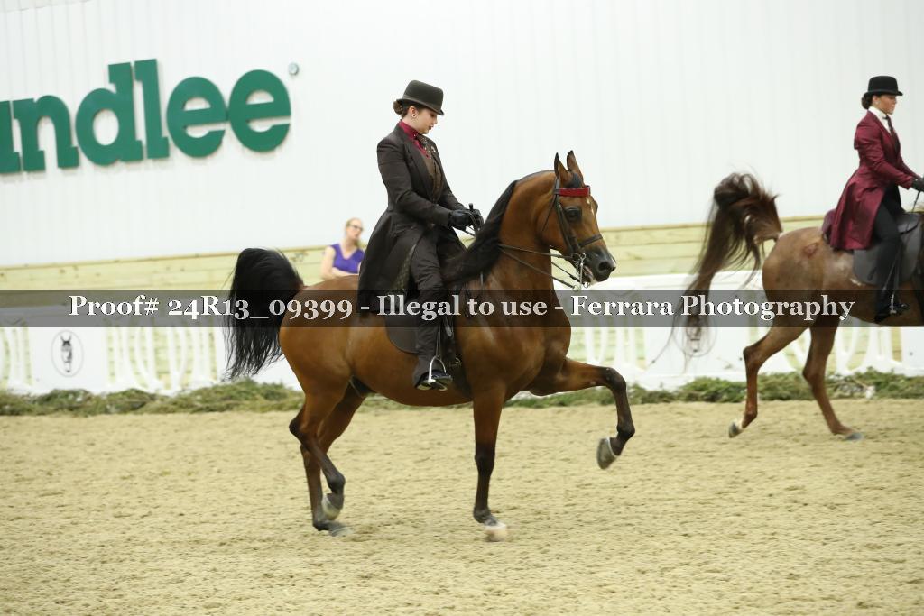 Proof 24R13_09399